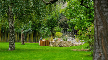 Création d'un Jardin en Sous-bois